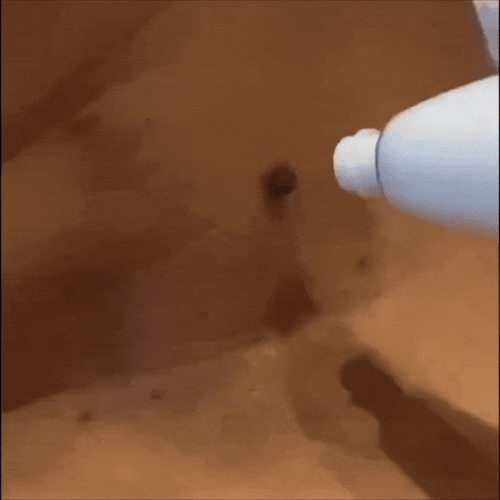 video-ezgif.com-optimize.gif__PID:a20ef7d4-fad0-469d-84e6-e584b9e9e164